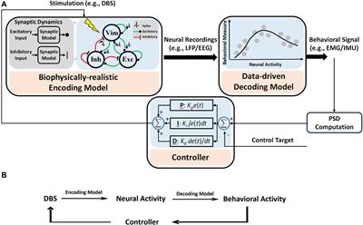 Model-based closed-loop control of thalamic deep brain stimulation